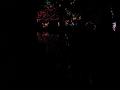 ZooLights 08
